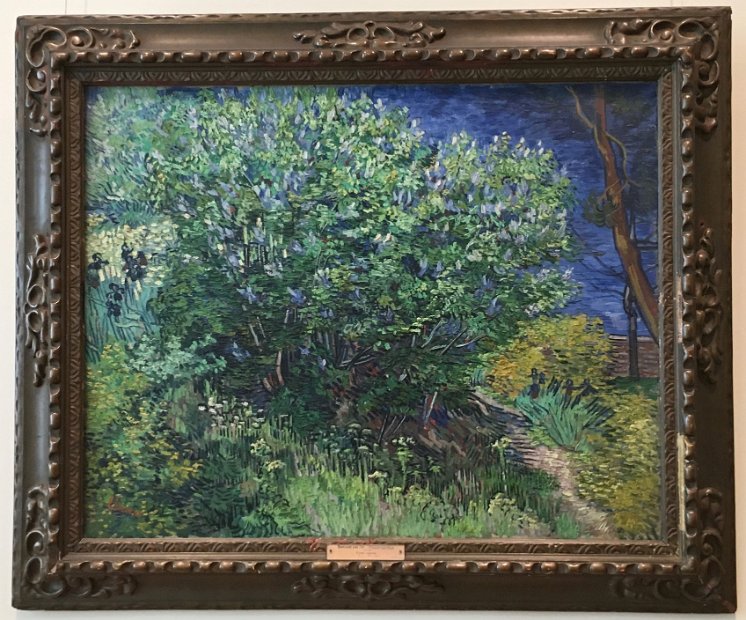 Buisson : Vincent Van Gogh, mai 1889