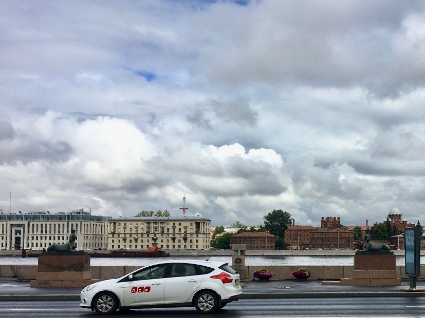 Deux sphinx “authentiques”,  contrairement à ceux qui gardent le pont “égyptien” sur la Fontanka, attirent tout particulièrement l'attention. Ils se font face, depuis près de deux siècles, trônant majestueusement sur le quai de l’Université.