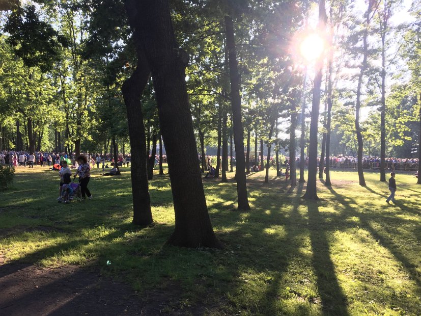 Les policiers nous laissent passer, couper les files, mais ne savent pas où est le cimetière. Et nous ne savons toujours pas pourquoi toutes ces personnes sont là...