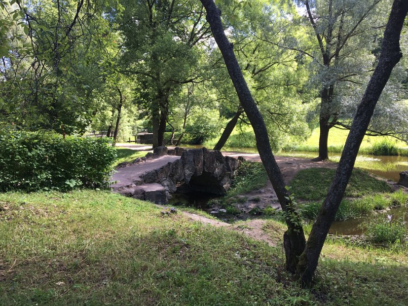 Pendant le siège de Leningrad, les nazis avaient brûlé les dix mille arbres du parc.