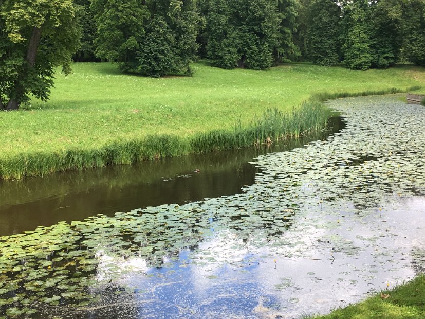 L'aménagement typique d'un jardin à l'anglaise