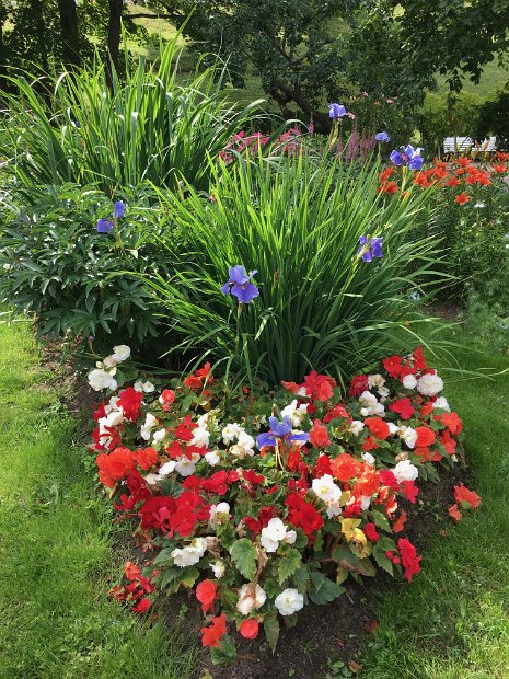 Angela apprend le nom des fleurs.