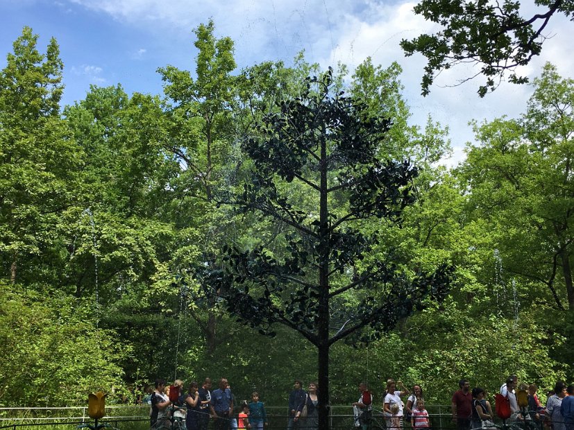 La Fontaine-chêne est un arbre métallique dont les branches lancent des jets d'eau.