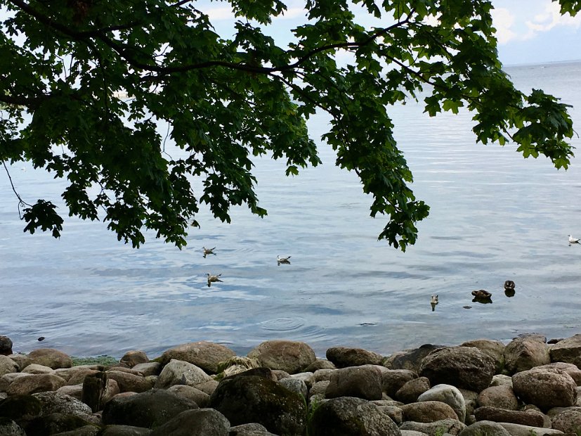 Le rivage de la Baltique, un hâvre de paix
