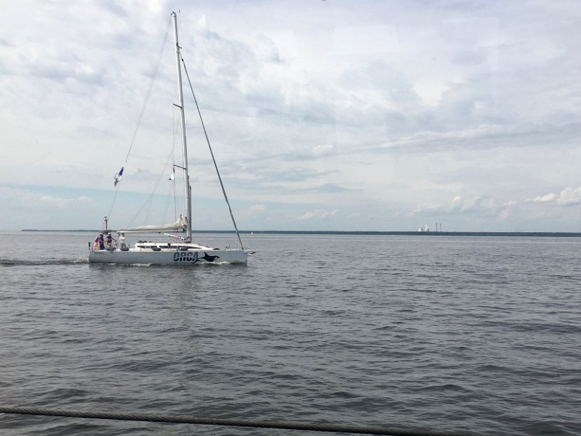 Des voyageurs peu pressés profitent des joies de la voile dans le golfe.